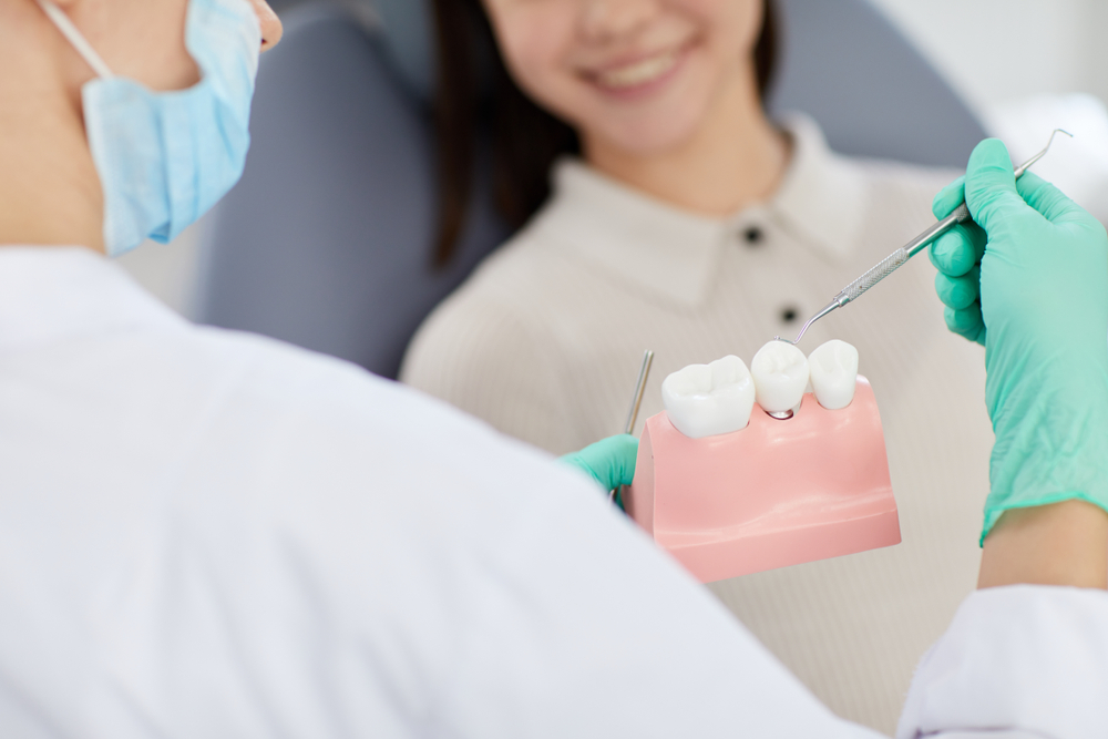 Dental Treatment Plan Explanation Using Tooth Model - Dentist in Madison TN Dentist explaining treatment options to a patient using a detailed dental model during an in-office consultation - Dentist in Madison TN